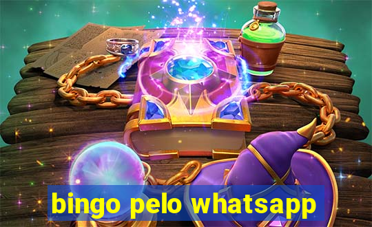 bingo pelo whatsapp